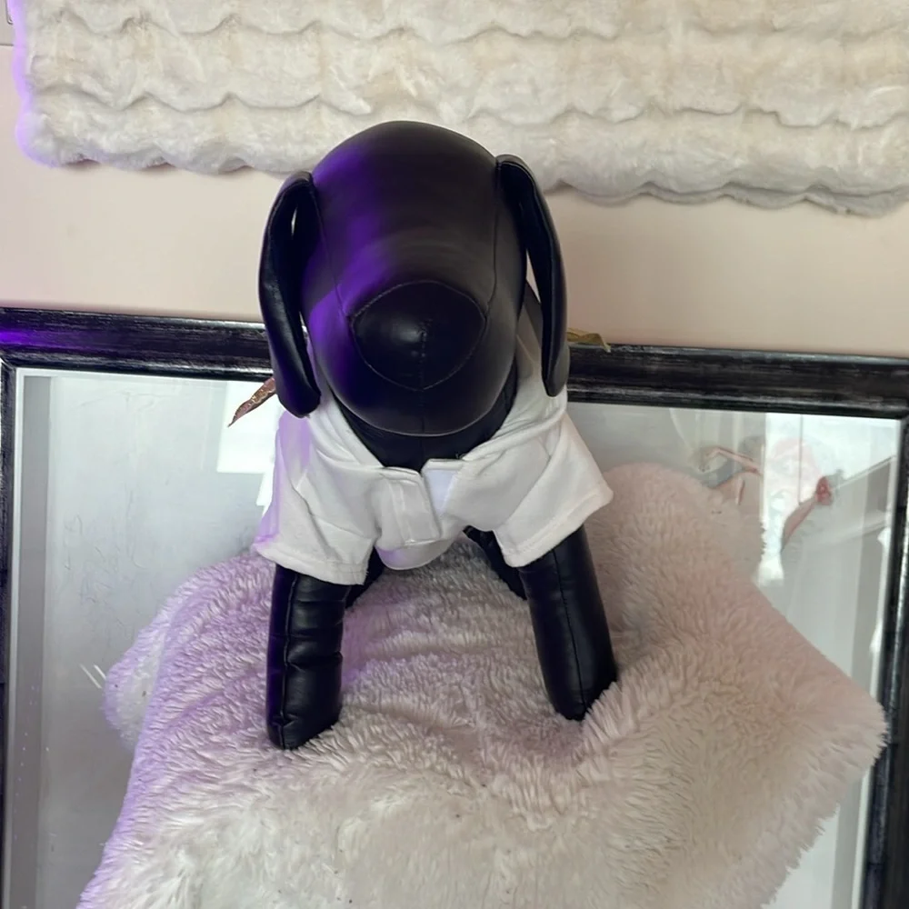 Spooky night little angle costume for dogs NWOT so cute good and white and wings